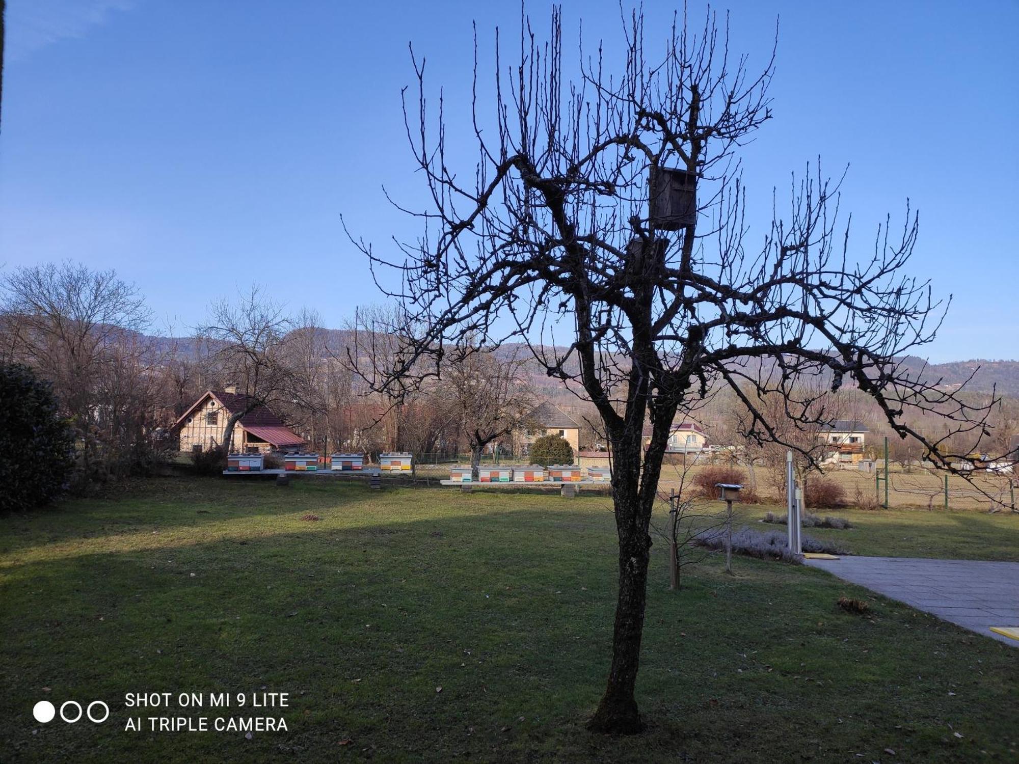 Nice Small House In Beautiful Carinthia Feistritz im Rosental Екстер'єр фото